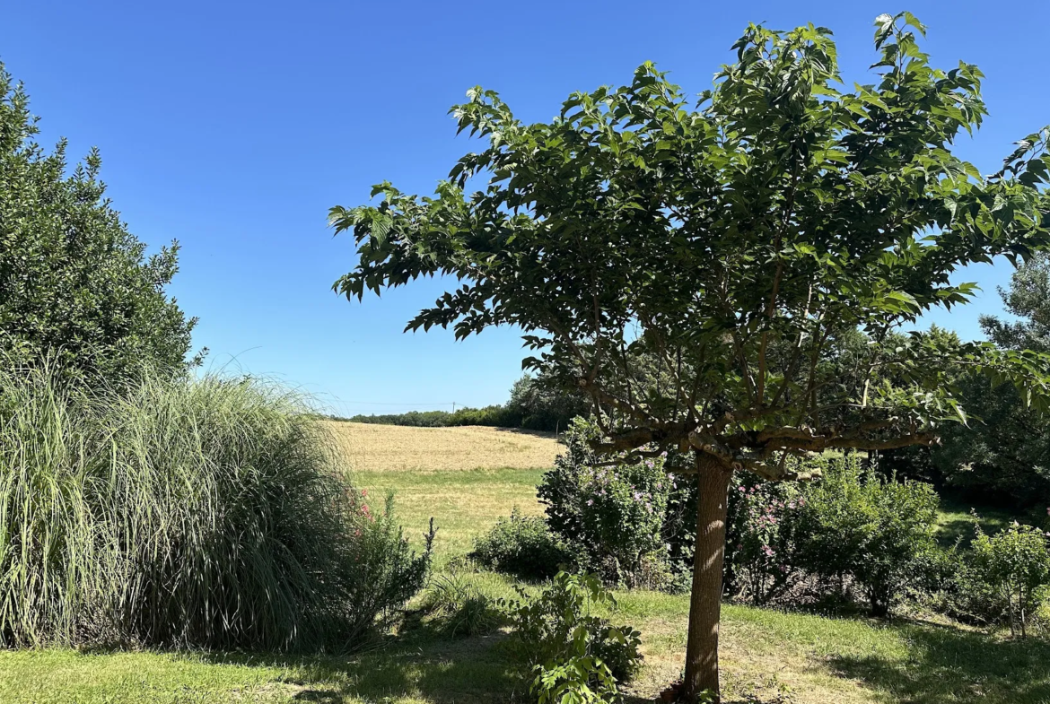 Belle maison en pierre à vendre à Fleurance 