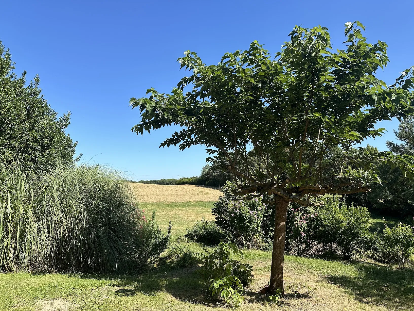 Belle maison en pierre à vendre à Fleurance 