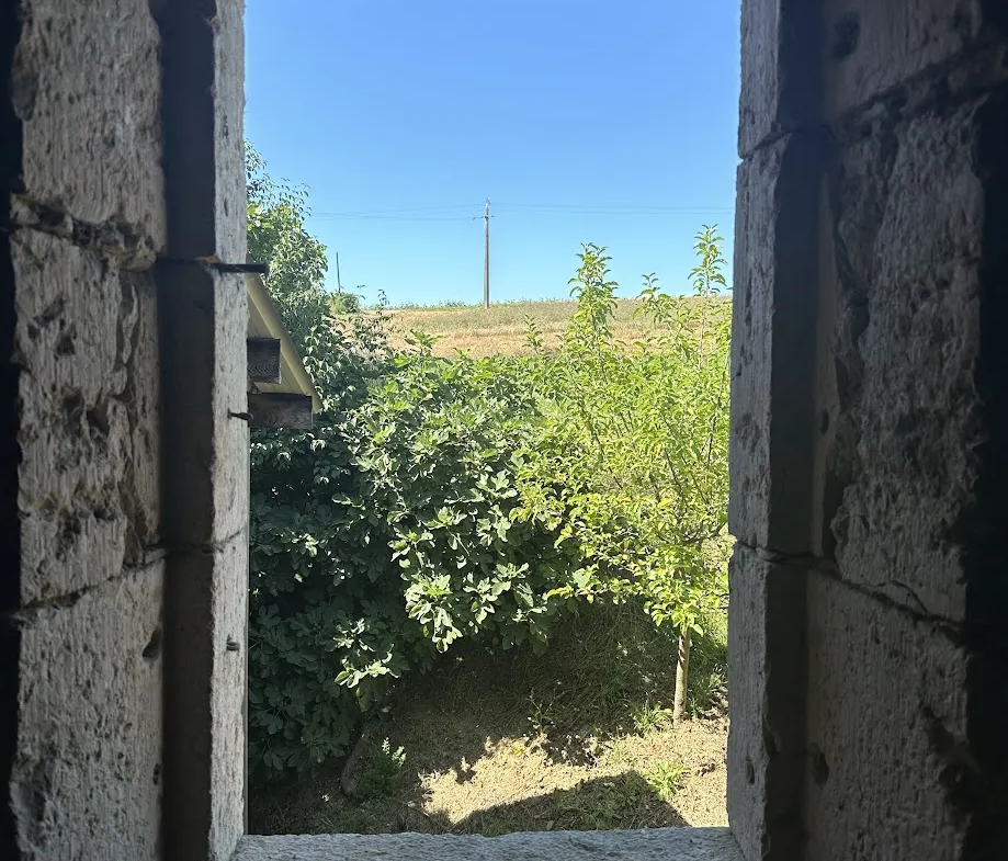 Belle maison en pierre à vendre à Fleurance 