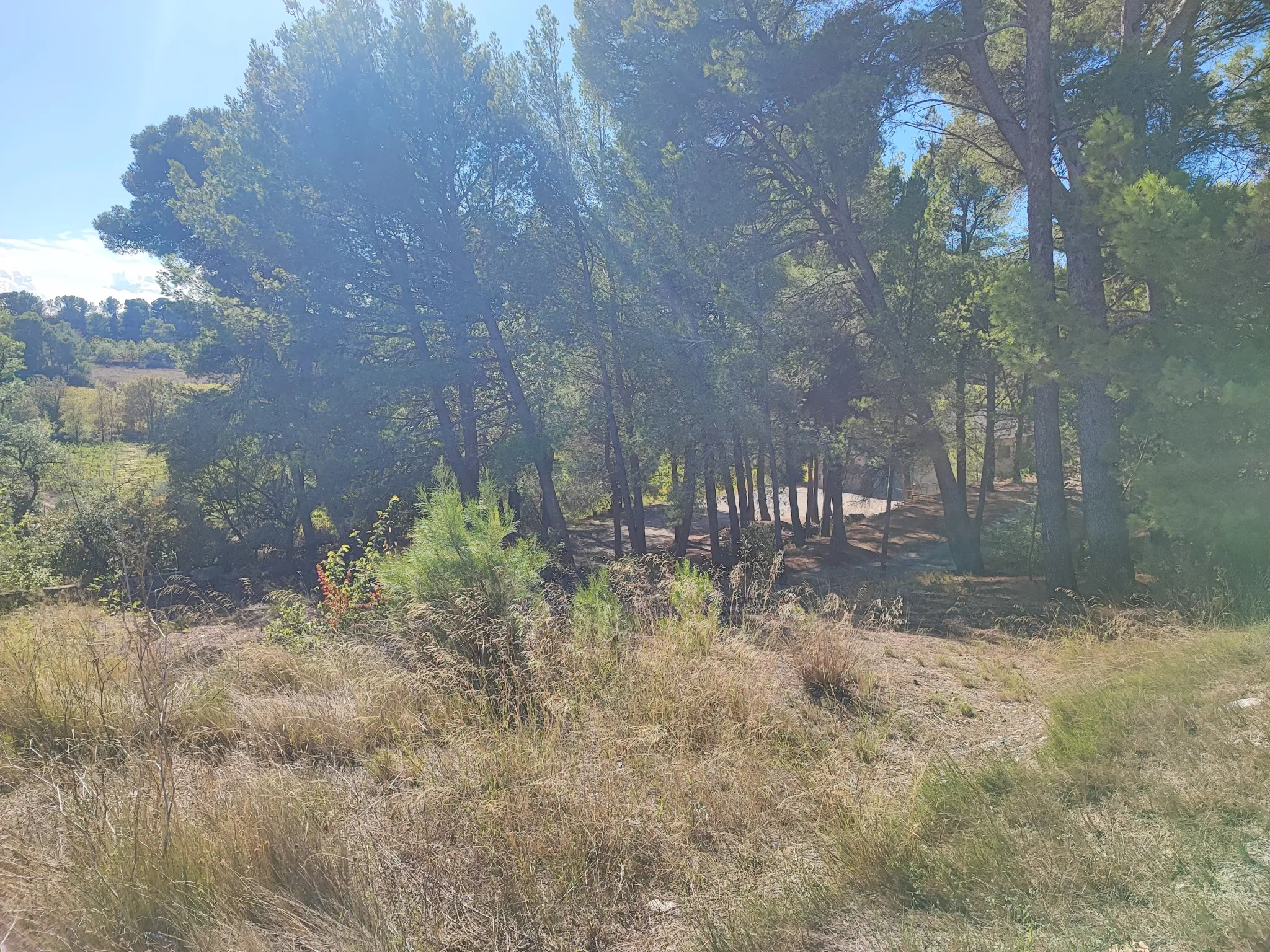 Terrain constructible de 1396 m² à La Redorte dans le Minervois 