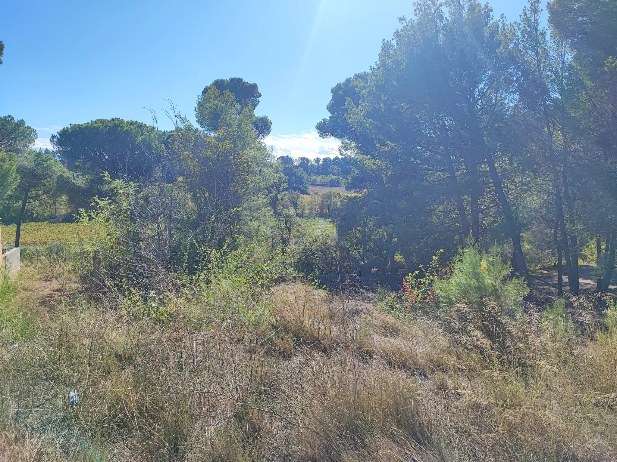 Terrain constructible de 1396 m² à La Redorte dans le Minervois 