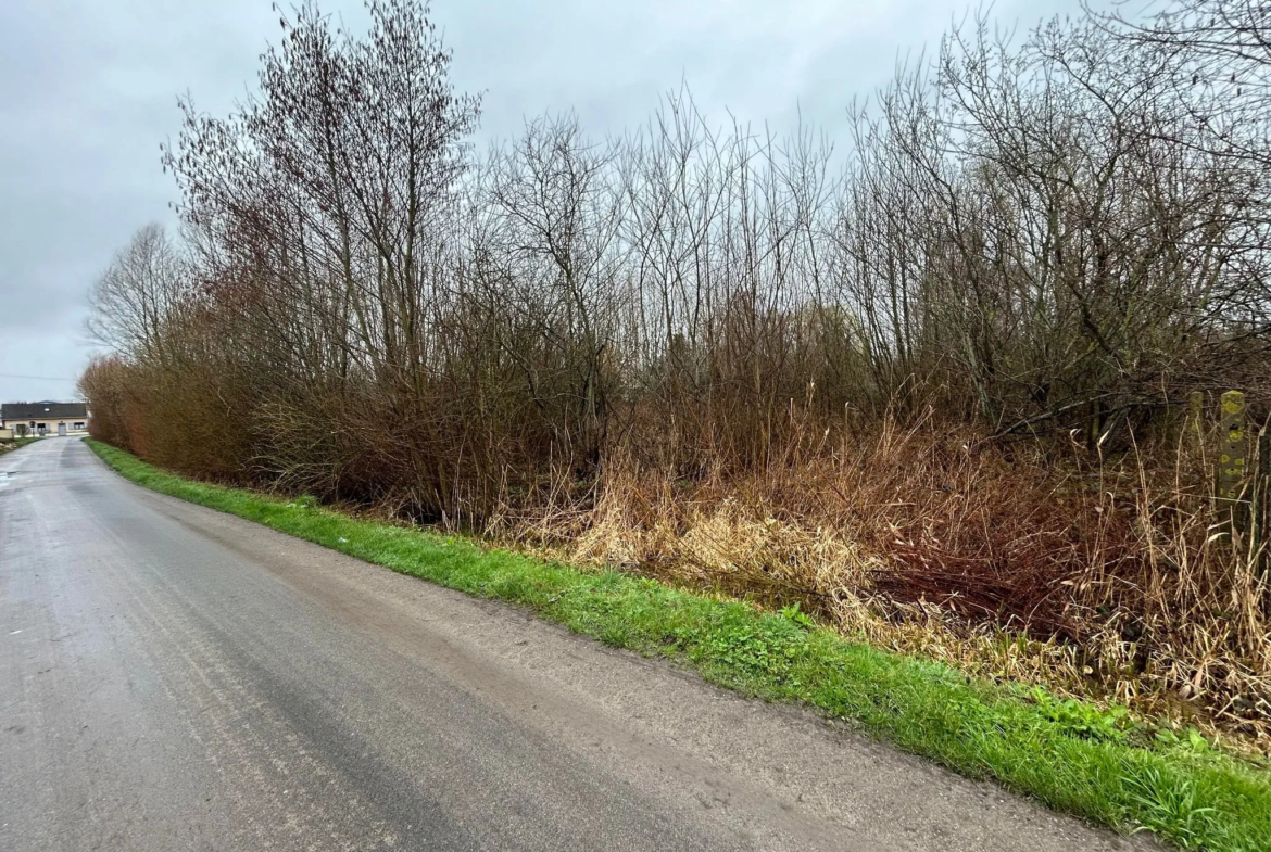 Terrain à bâtir non viabilisé à Pont Remy - 7113 m² 