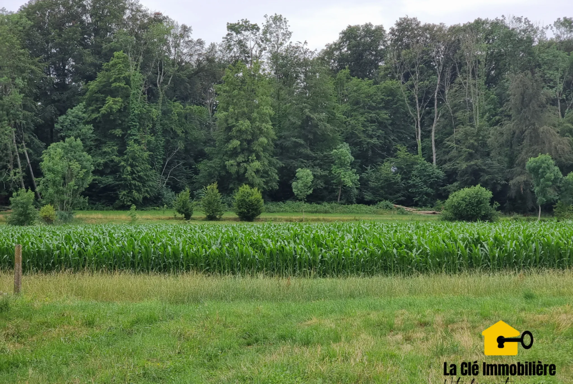 Terrain viabilisé à Hirsingue sur les hauteurs 