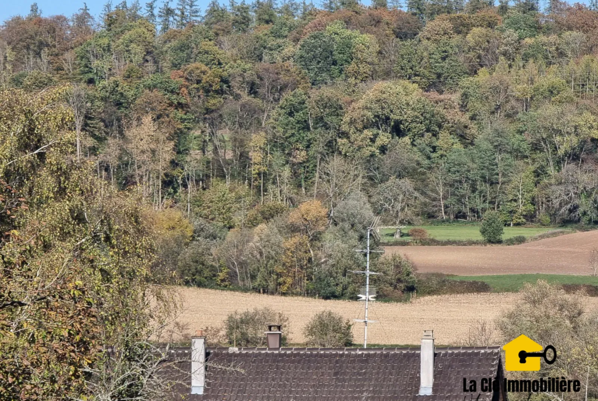 Terrain viabilisé à Hirsingue sur les hauteurs 