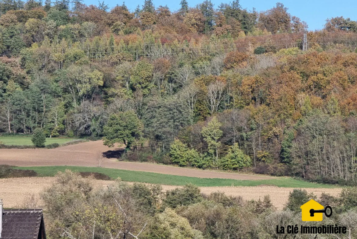 Terrain viabilisé à Hirsingue sur les hauteurs 