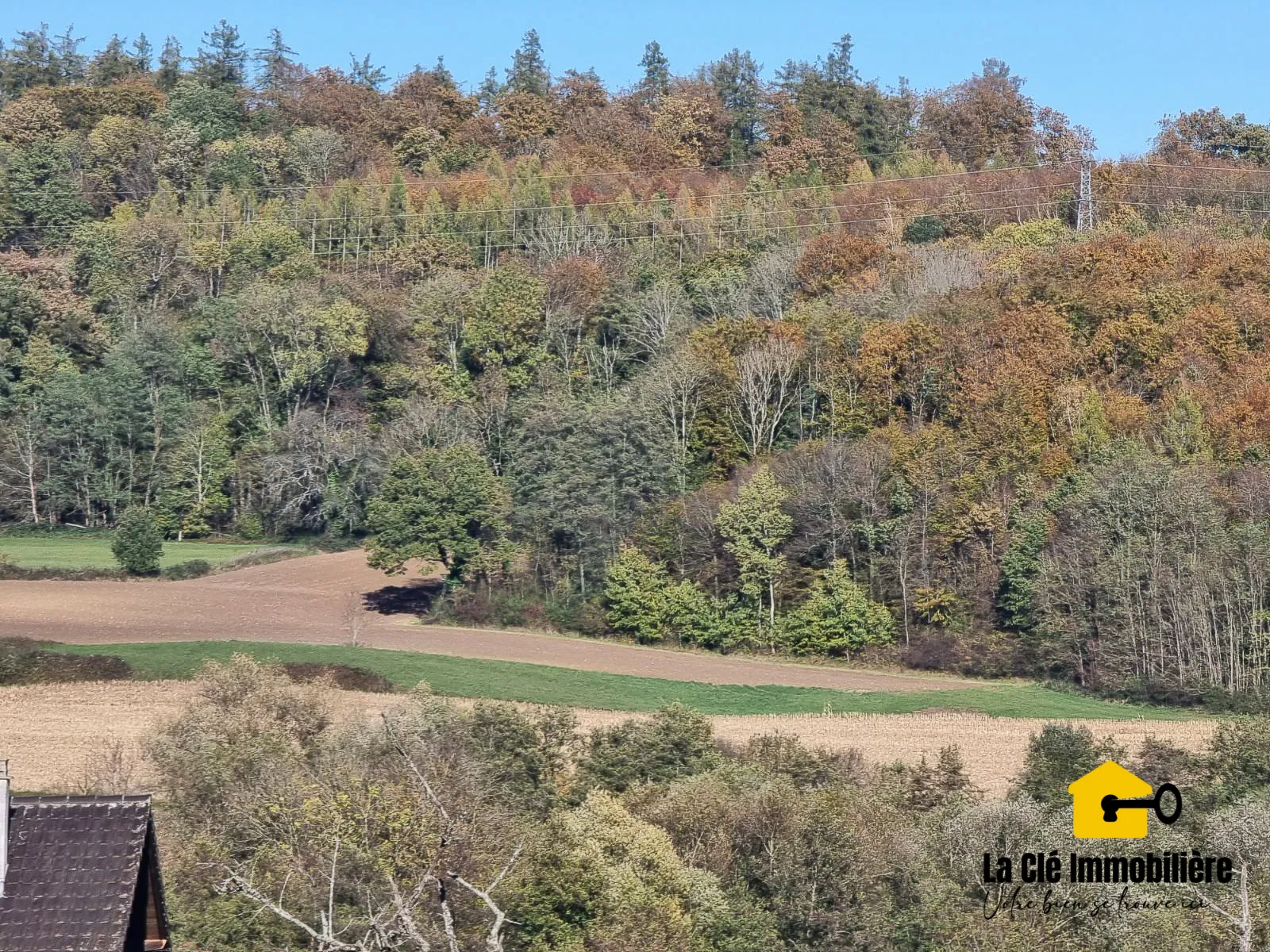 Terrain viabilisé à Hirsingue sur les hauteurs 