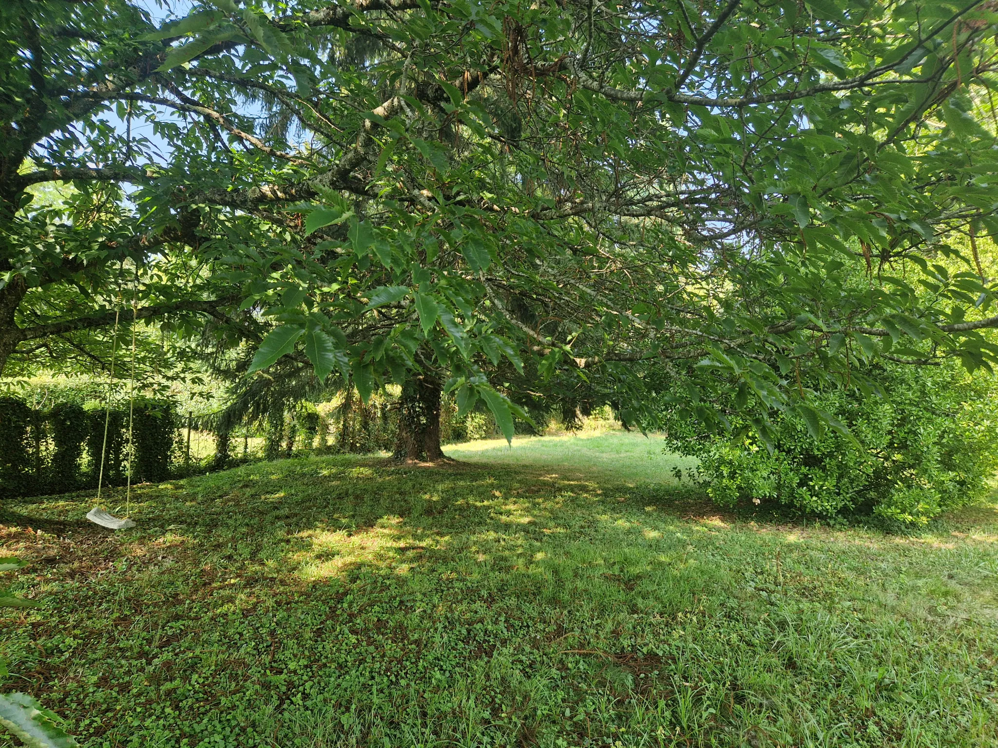 Maison familiale à vendre à Lubersac avec grand parc 