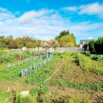 Terrain à bâtir de 1262 m² libre de constructeur à Parçay-Meslay