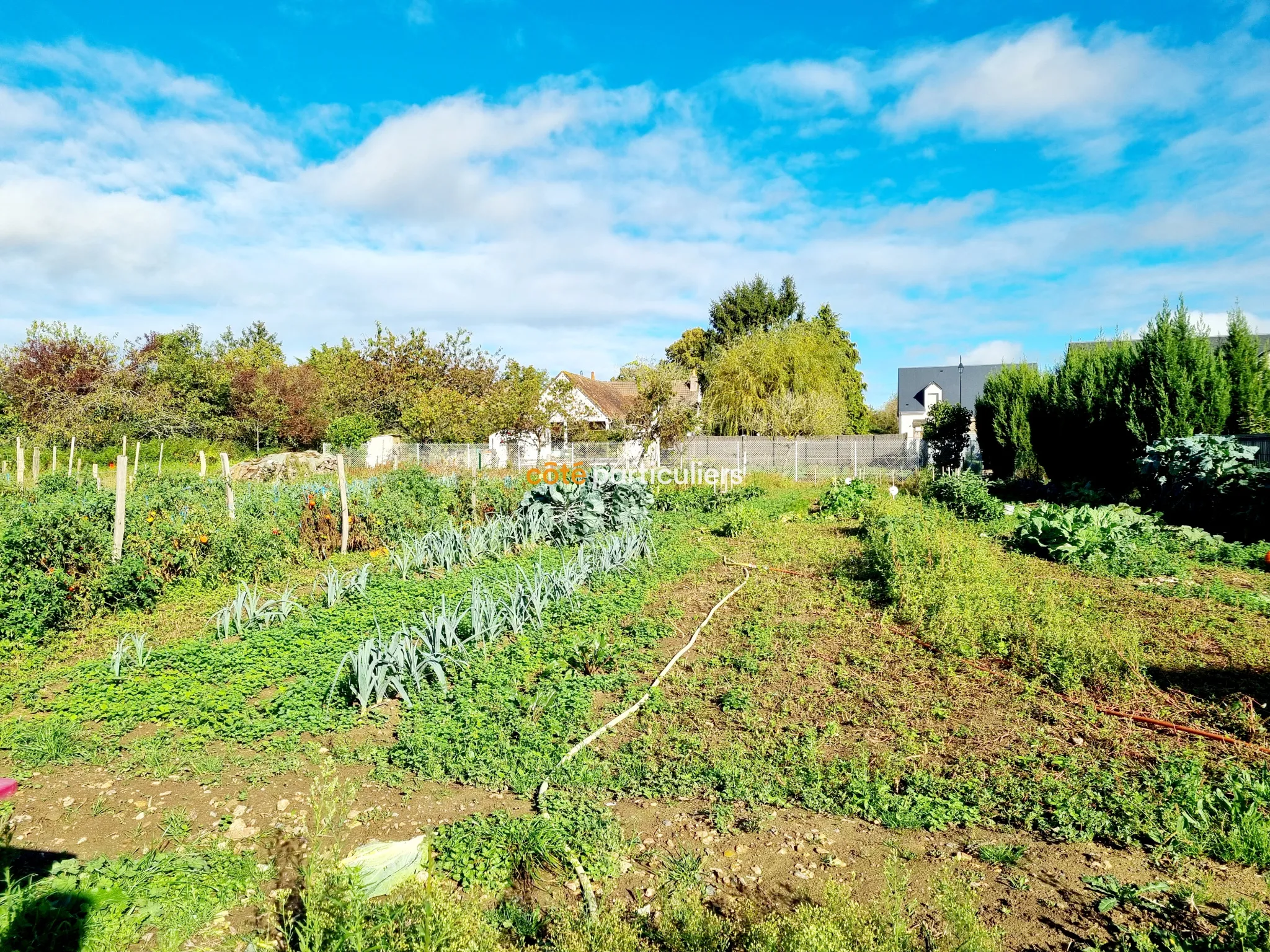 Terrain à bâtir de 1262 m² libre de constructeur à Parçay-Meslay 