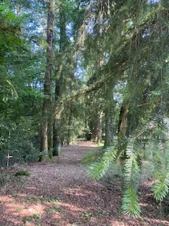 Superbe Villa de 4 Chambres à Châteauneuf-la-Forêt 