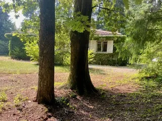 Superbe Villa de 4 Chambres à Châteauneuf-la-Forêt 