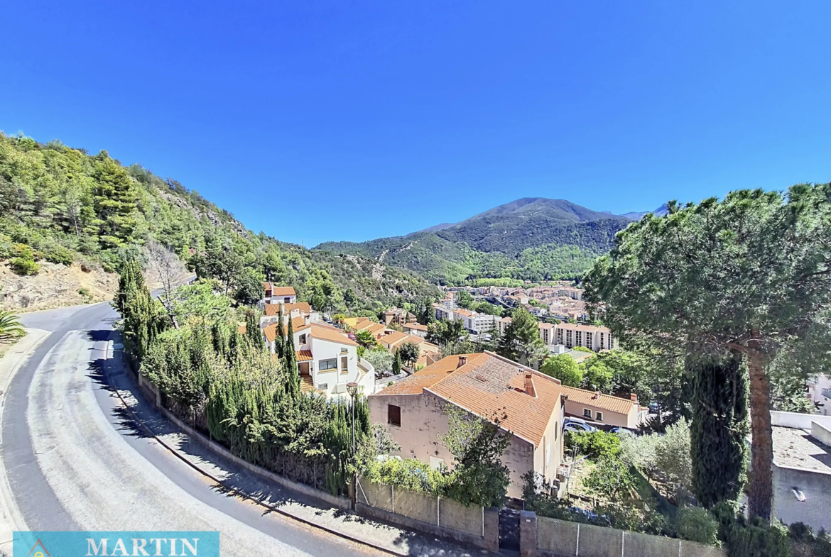 Grande villa avec 5 chambres à Amélie-les-Bains 