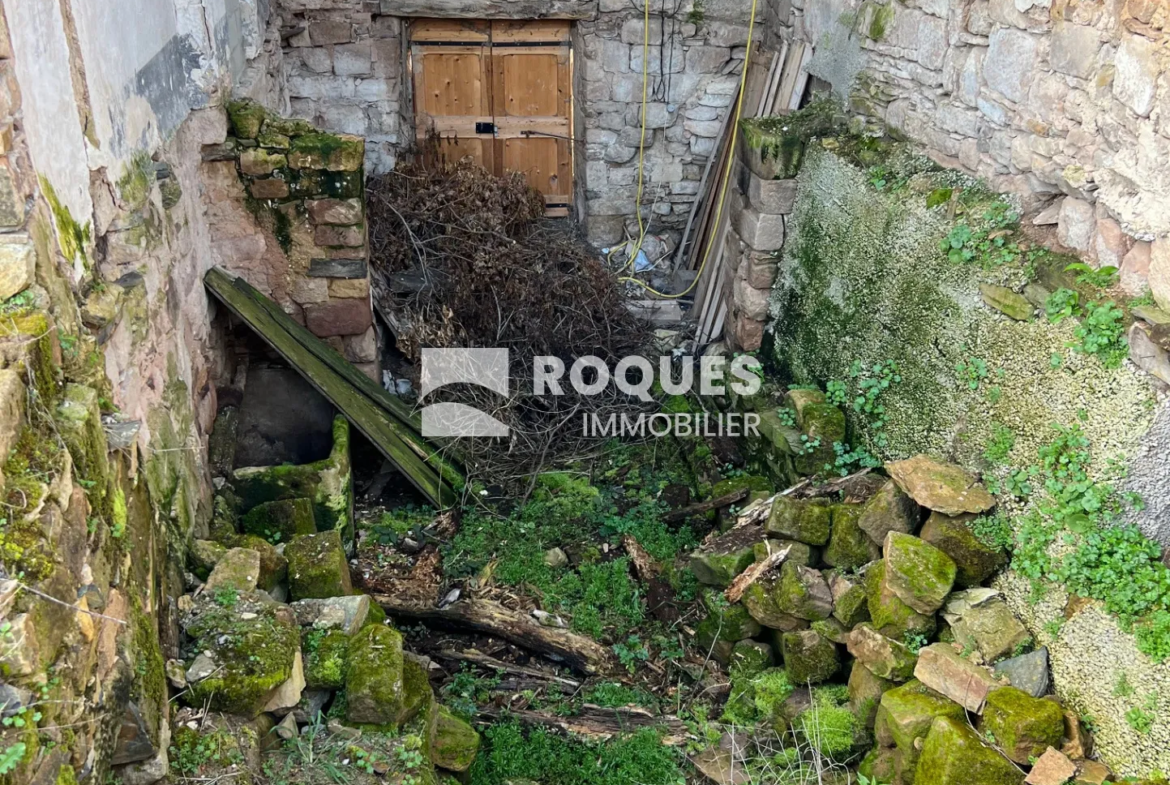 Maison de village en vente avec terrasse à Montjaux 