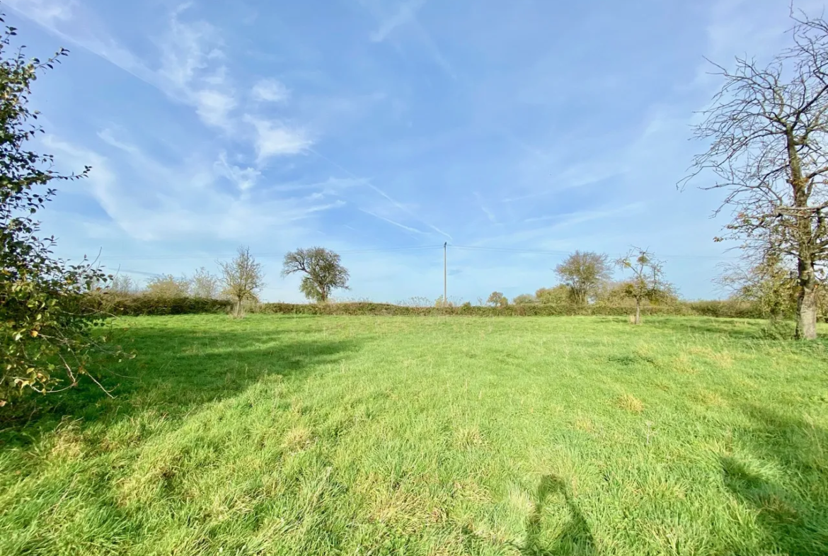 Propriété à vendre à Dourlers, 3 chambres et jardin 