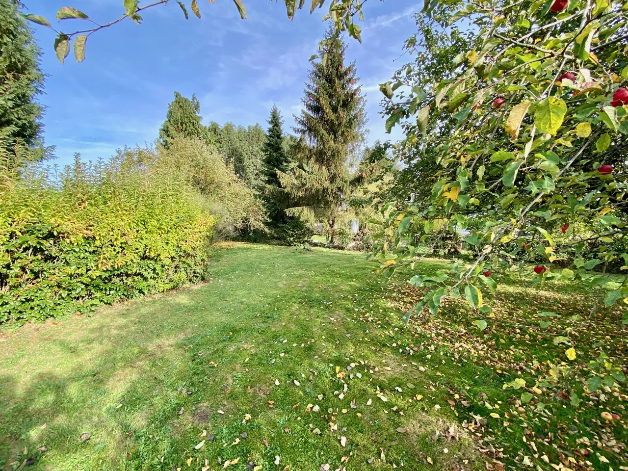 Propriété à vendre à Dourlers, 3 chambres et jardin 