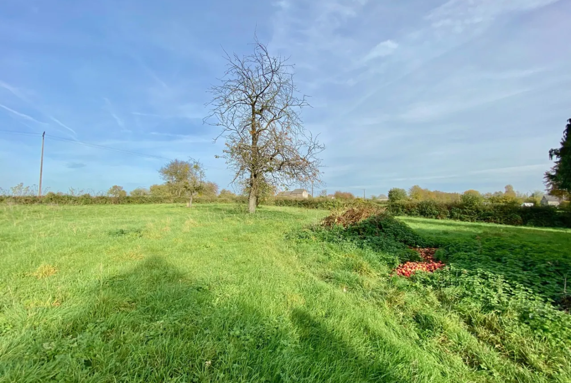 Propriété à vendre à Dourlers, 3 chambres et jardin 