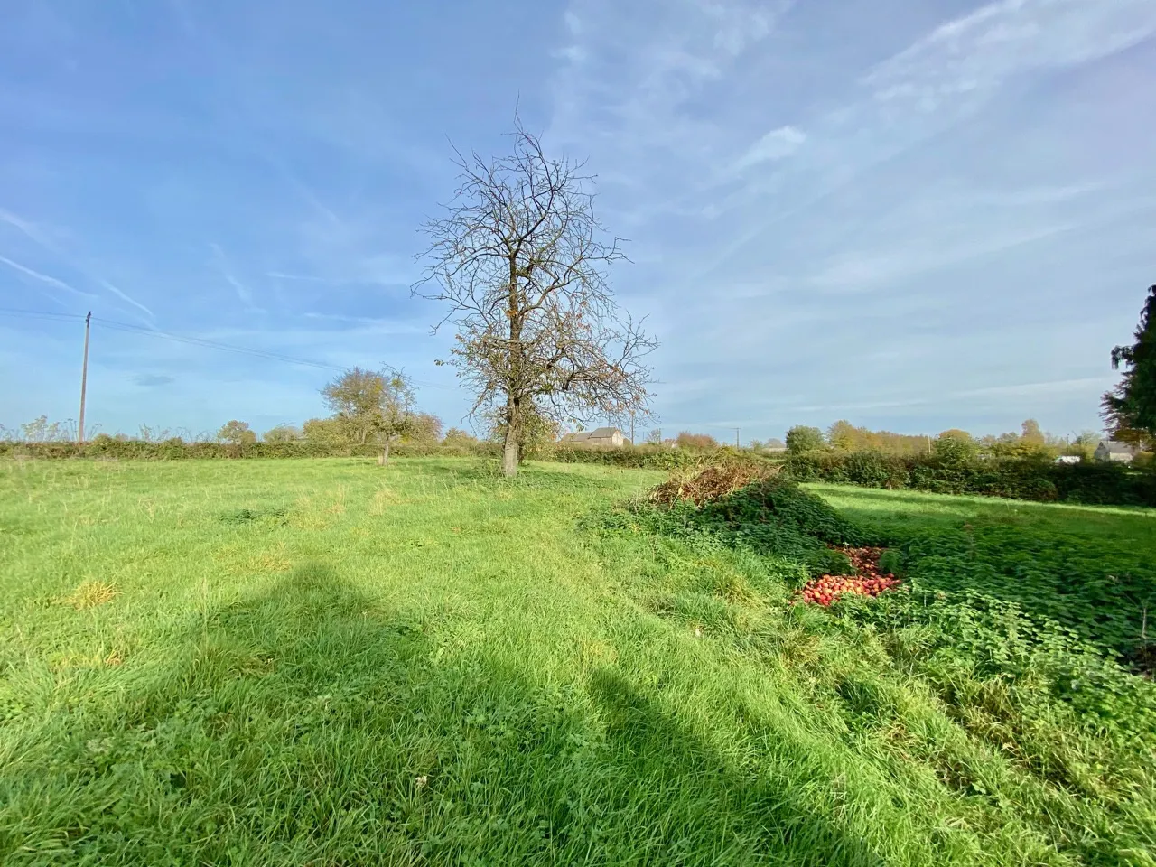 Propriété à vendre à Dourlers, 3 chambres et jardin 