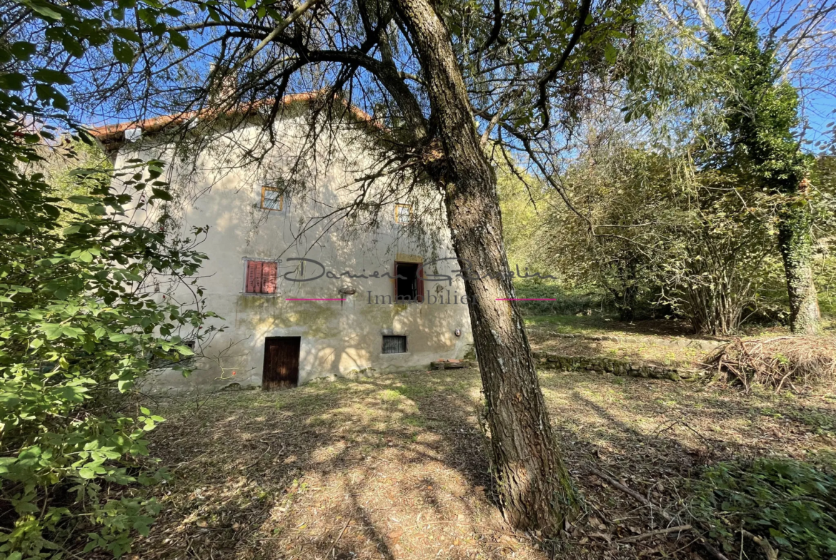 Maison de campagne à rénover à Cours la Ville 