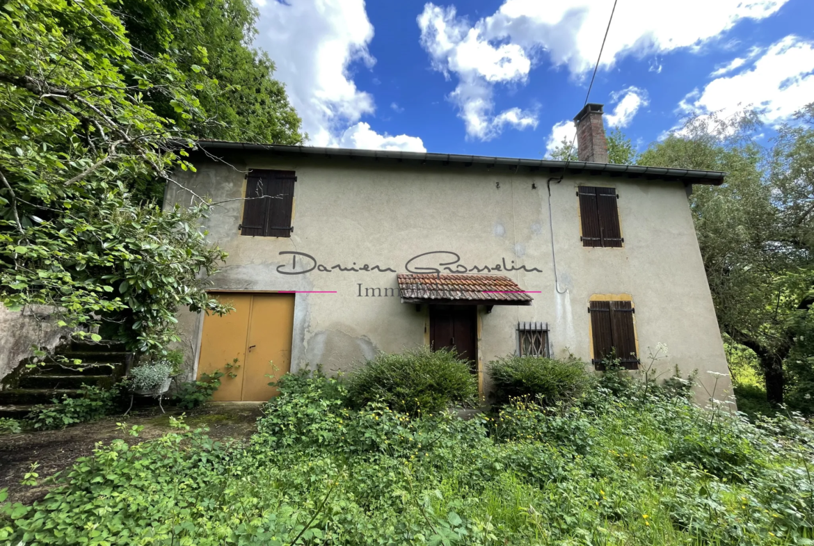 Maison de campagne à rénover à Cours la Ville 