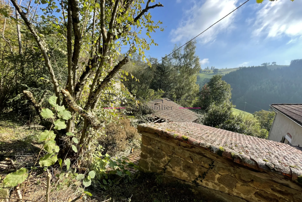 Maison de campagne à rénover à Cours la Ville 