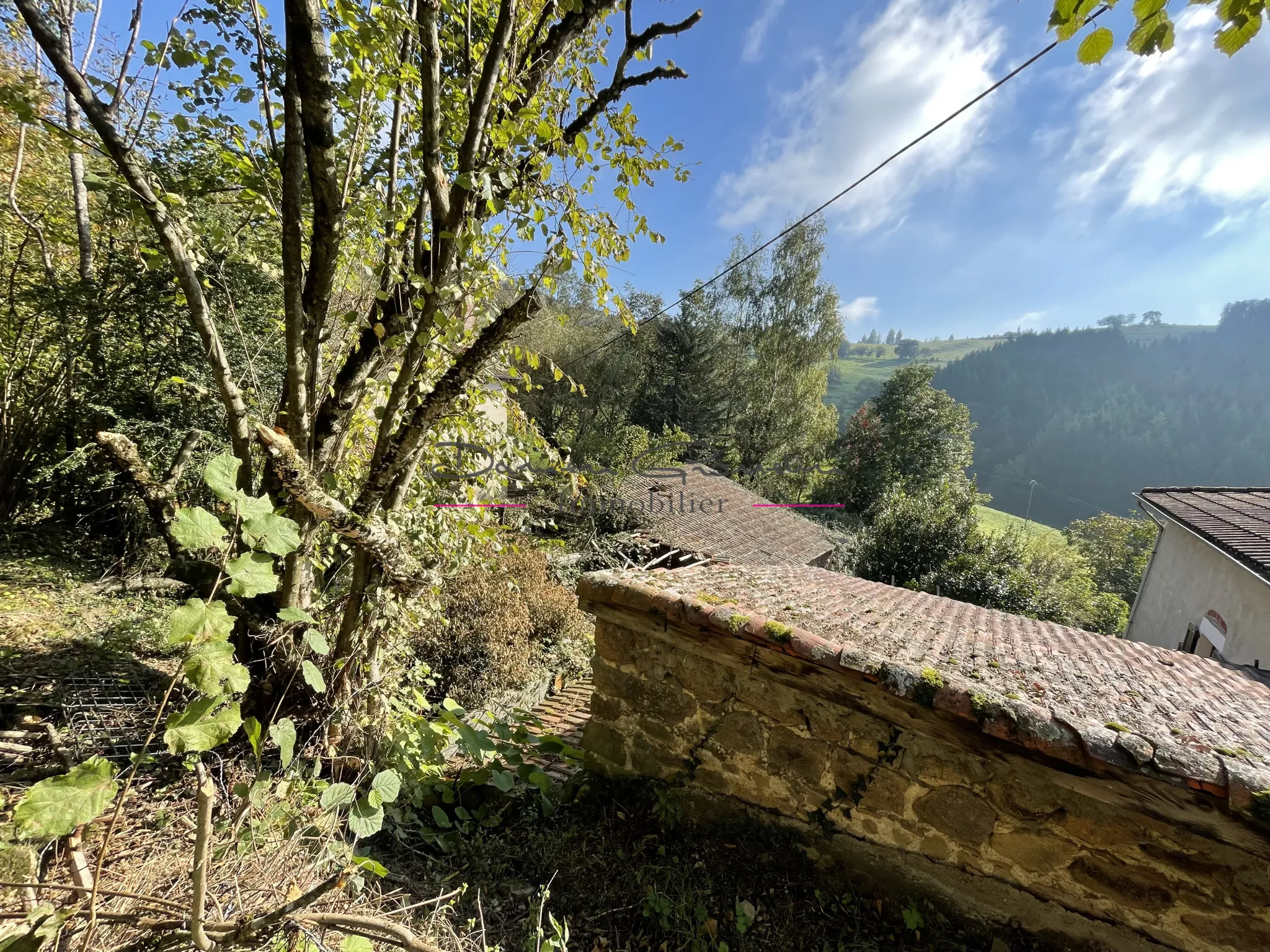 Maison de campagne à rénover à Cours la Ville 