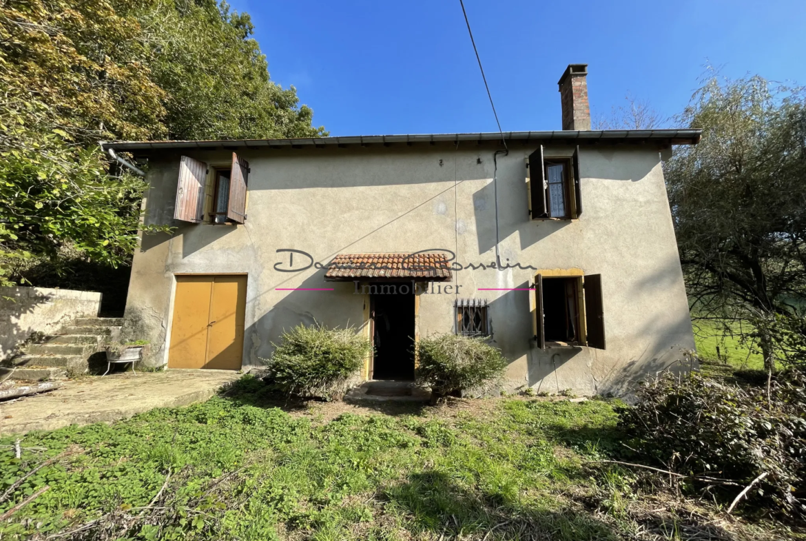 Maison de campagne à rénover à Cours la Ville 