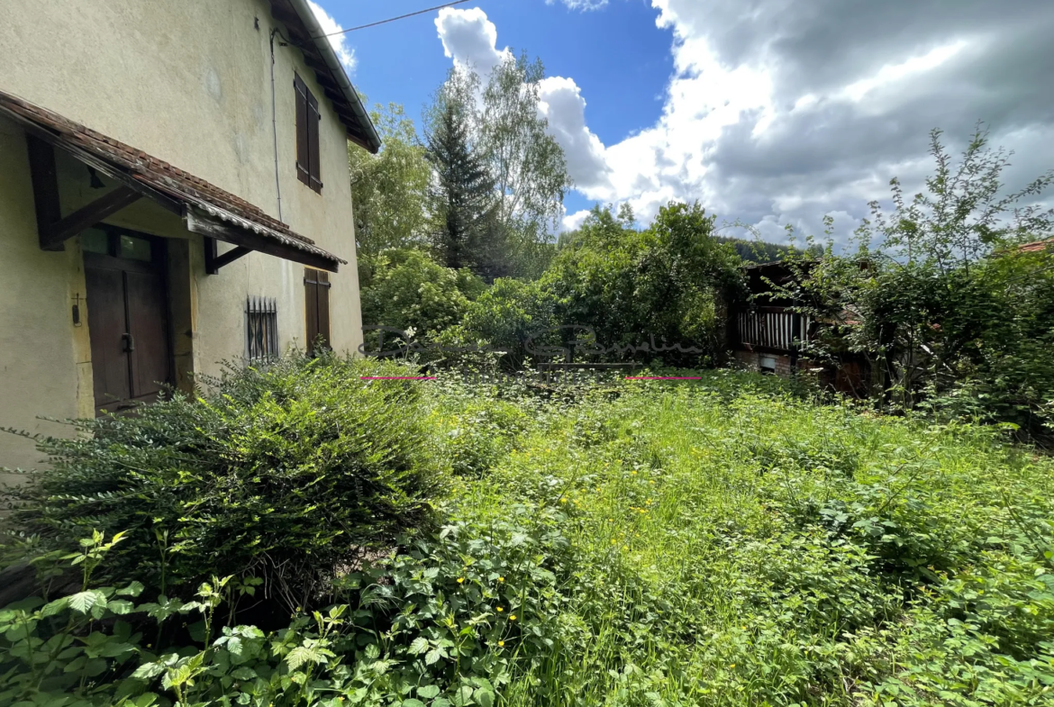 Maison de campagne à rénover à Cours la Ville 