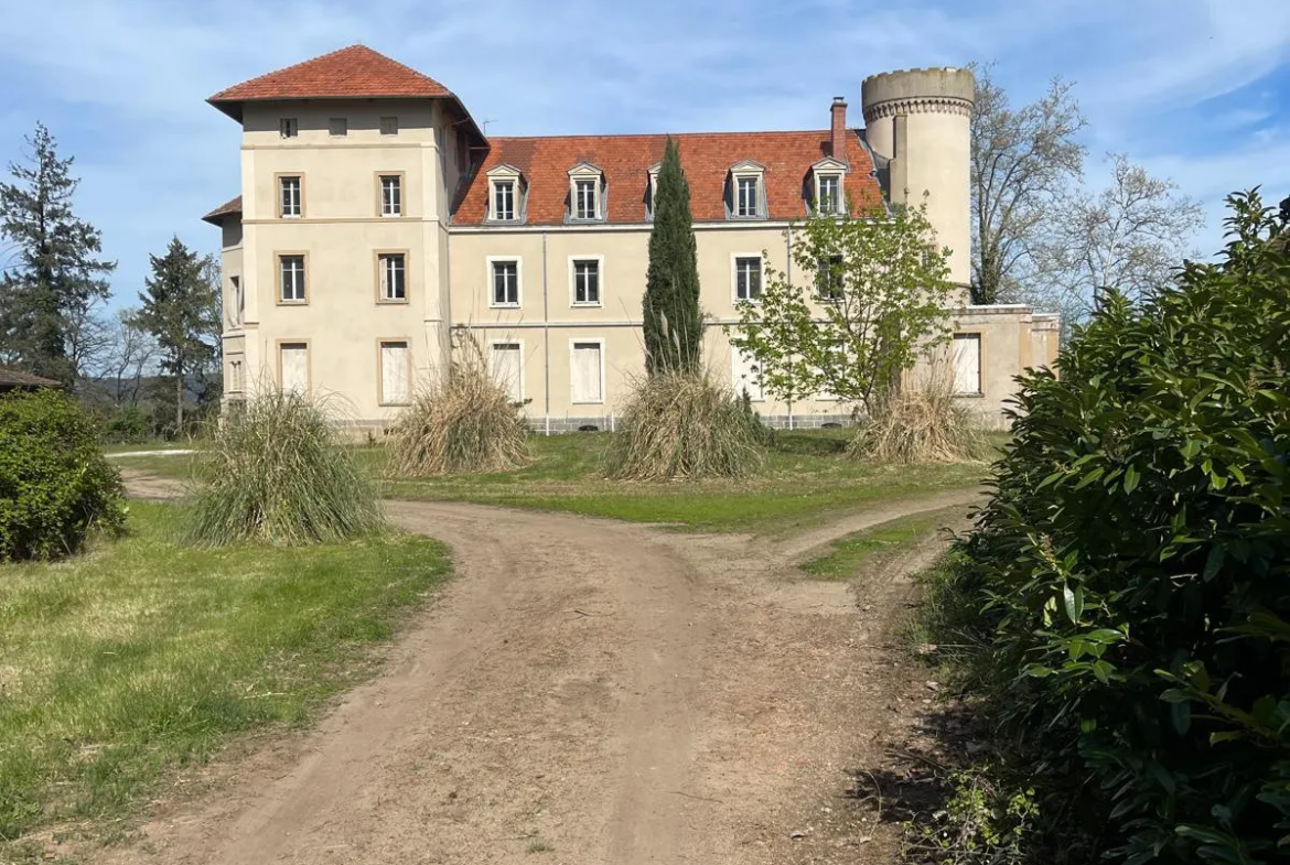 Plateau Aménageable au Château de Cuzieu à Vendre 