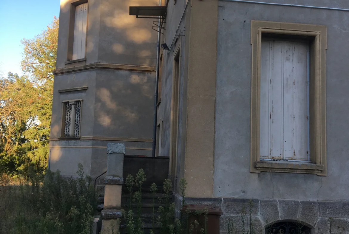 Plateau Aménageable au Château de Cuzieu à Vendre 