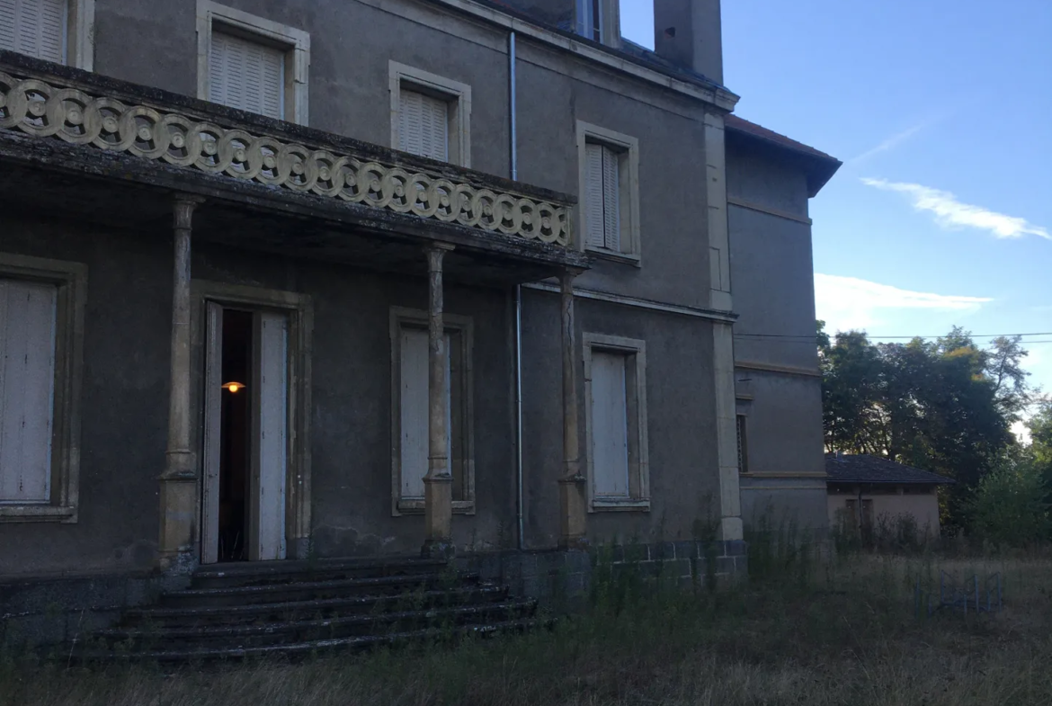 Plateau Aménageable au Château de Cuzieu à Vendre 