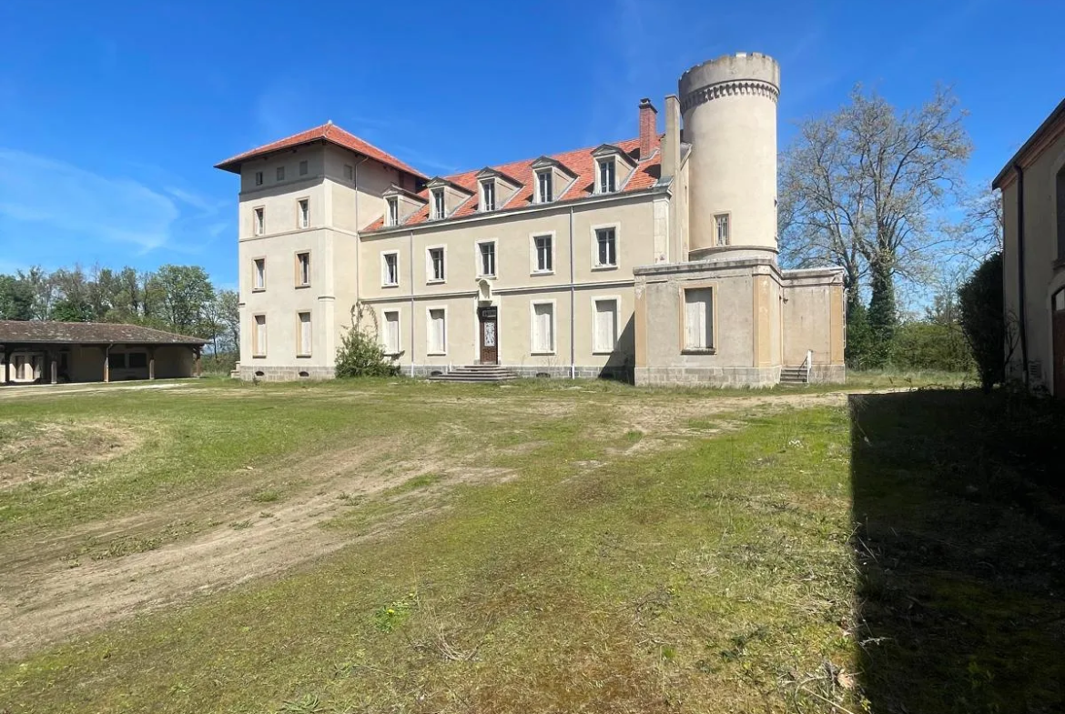 Plateau Aménageable au Château de Cuzieu à Vendre 