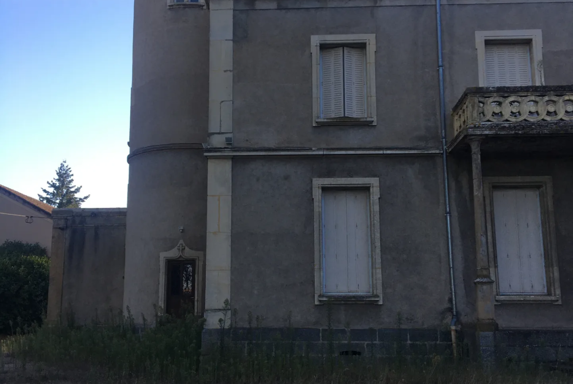 Plateau Aménageable au Château de Cuzieu à Vendre 