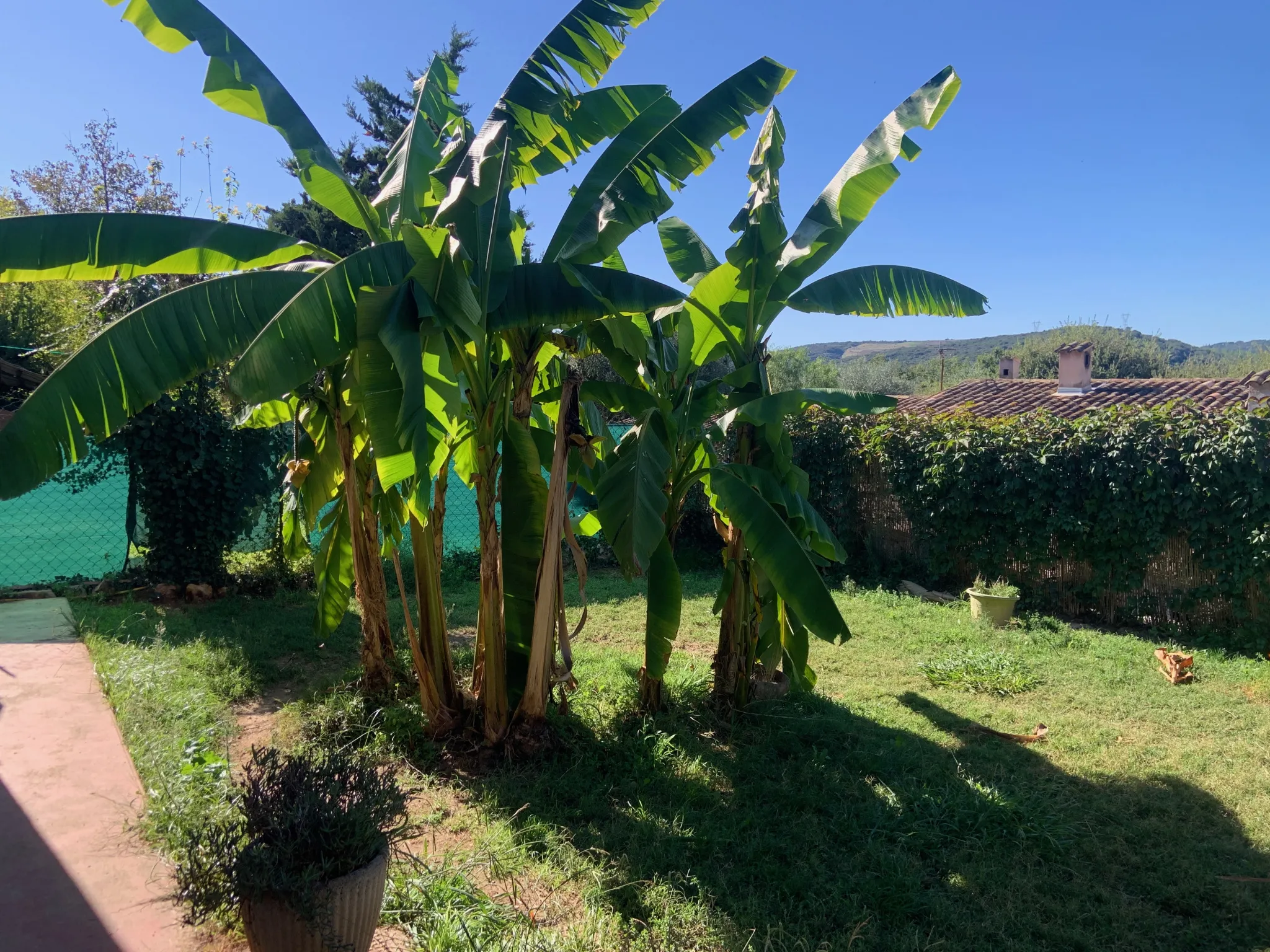 À vendre : 2P de 39,80 m² avec jardin privatif à La Colle sur Loup 