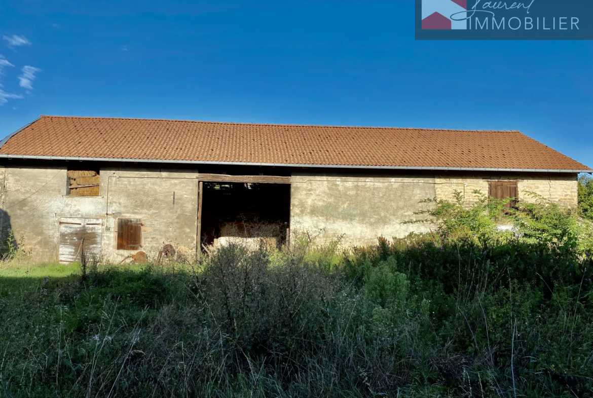 Maison avec dépendances et terrain constructible à Boz 