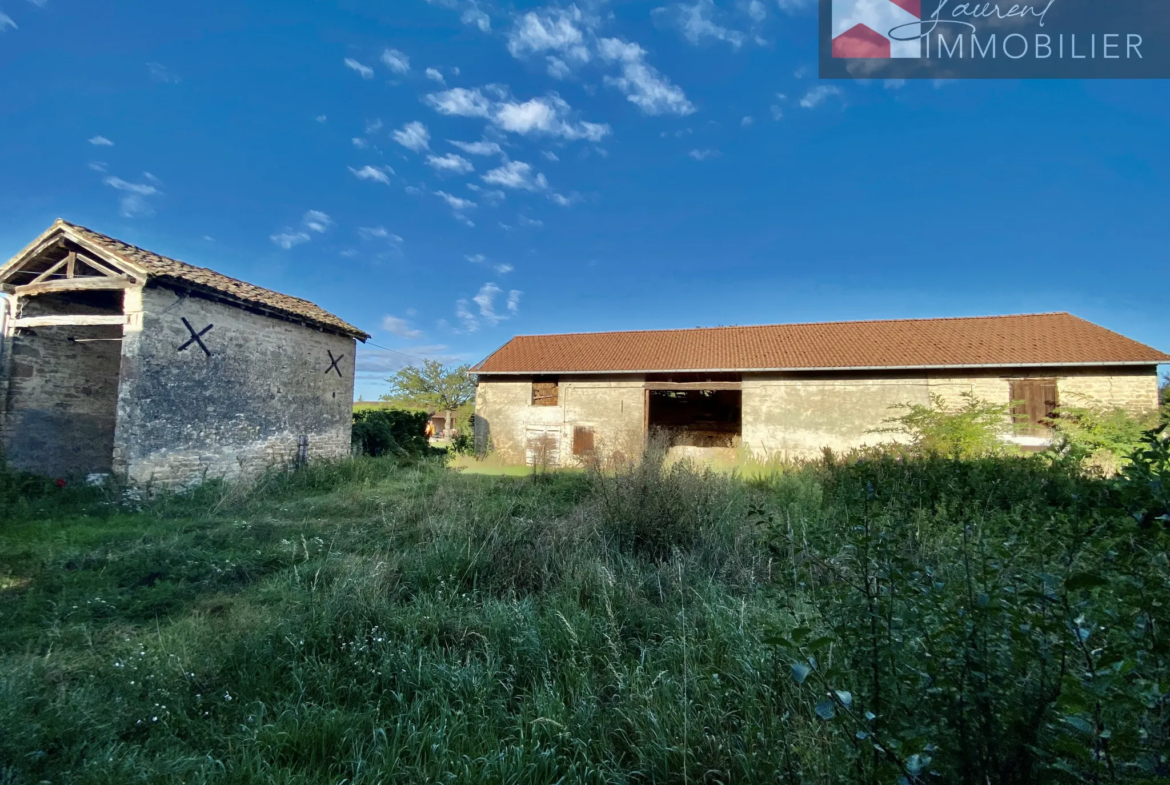 Maison avec dépendances et terrain constructible à Boz 