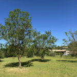 Maison à vendre à Limoux avec jardin, garage et piscine