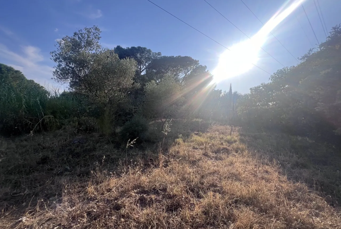 Terrain à bâtir de 800 m² à Puget-sur-Argens en exclusivité 