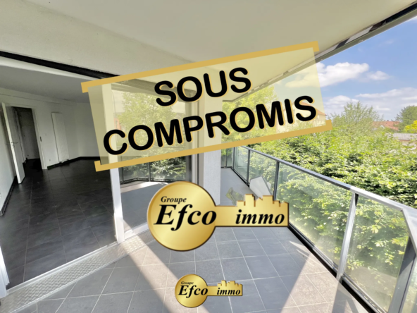 Spacieux appartement T3 à vendre à Hégenheim