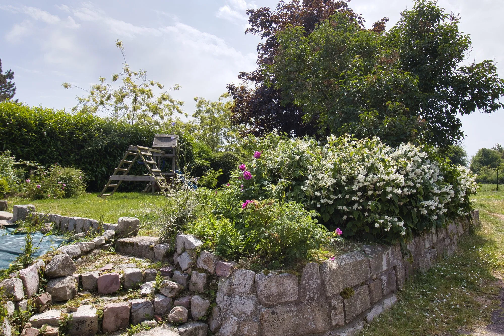 Vente Maison avec Dépendances à Doudeville 