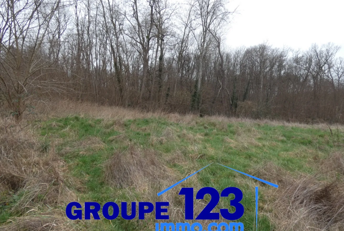 Terrain constructible de 2247 m² à Appoigny 