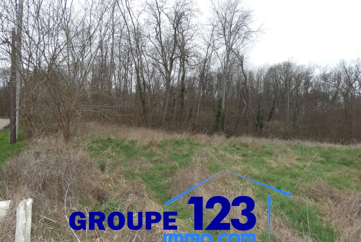 Terrain constructible de 2247 m² à Appoigny 