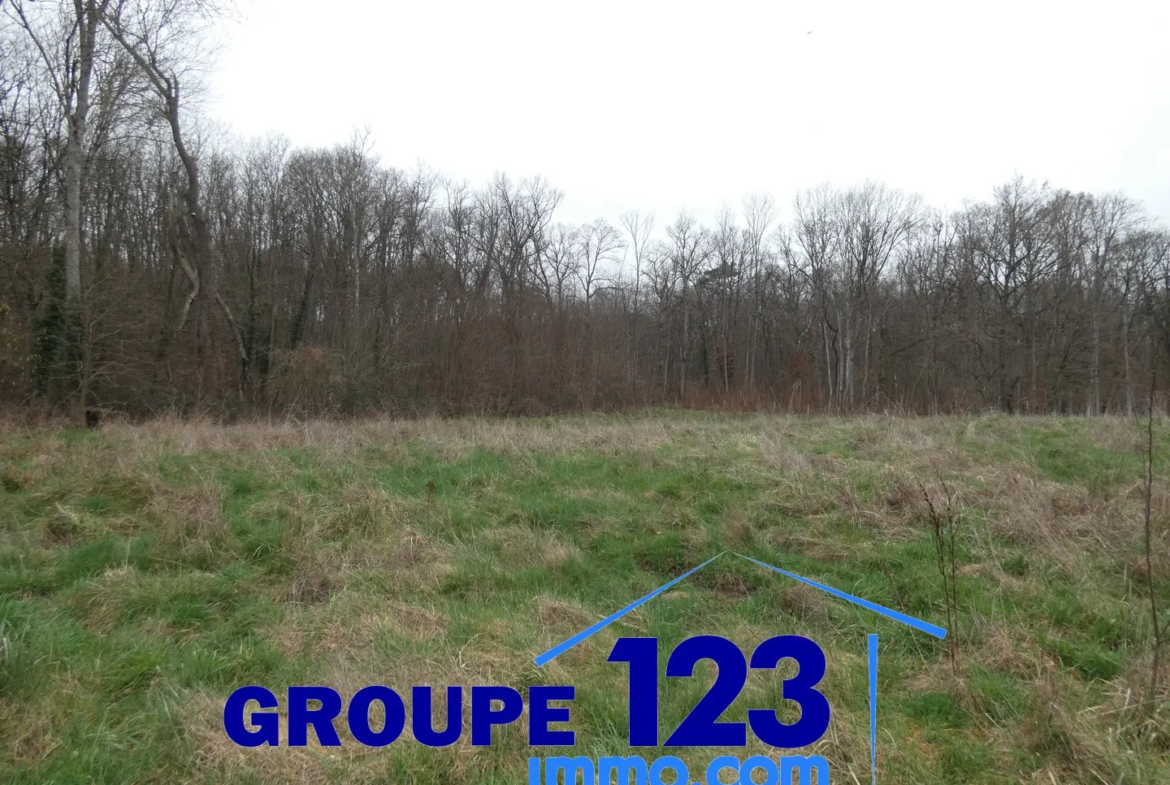 Terrain constructible de 2247 m² à Appoigny 