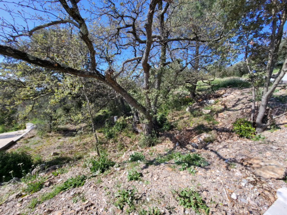 Terrain viabilisé à vendre à Pierrefeu du Var - 494 m²