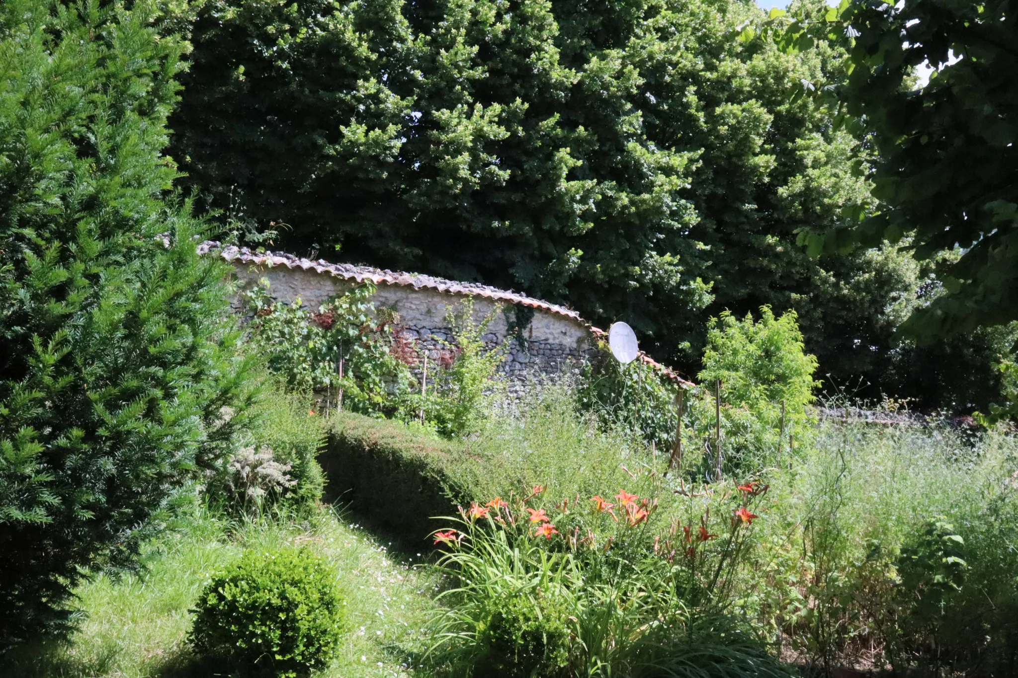 Charmante maison non mitoyenne à vendre à Cognac avec jardin suspendu 