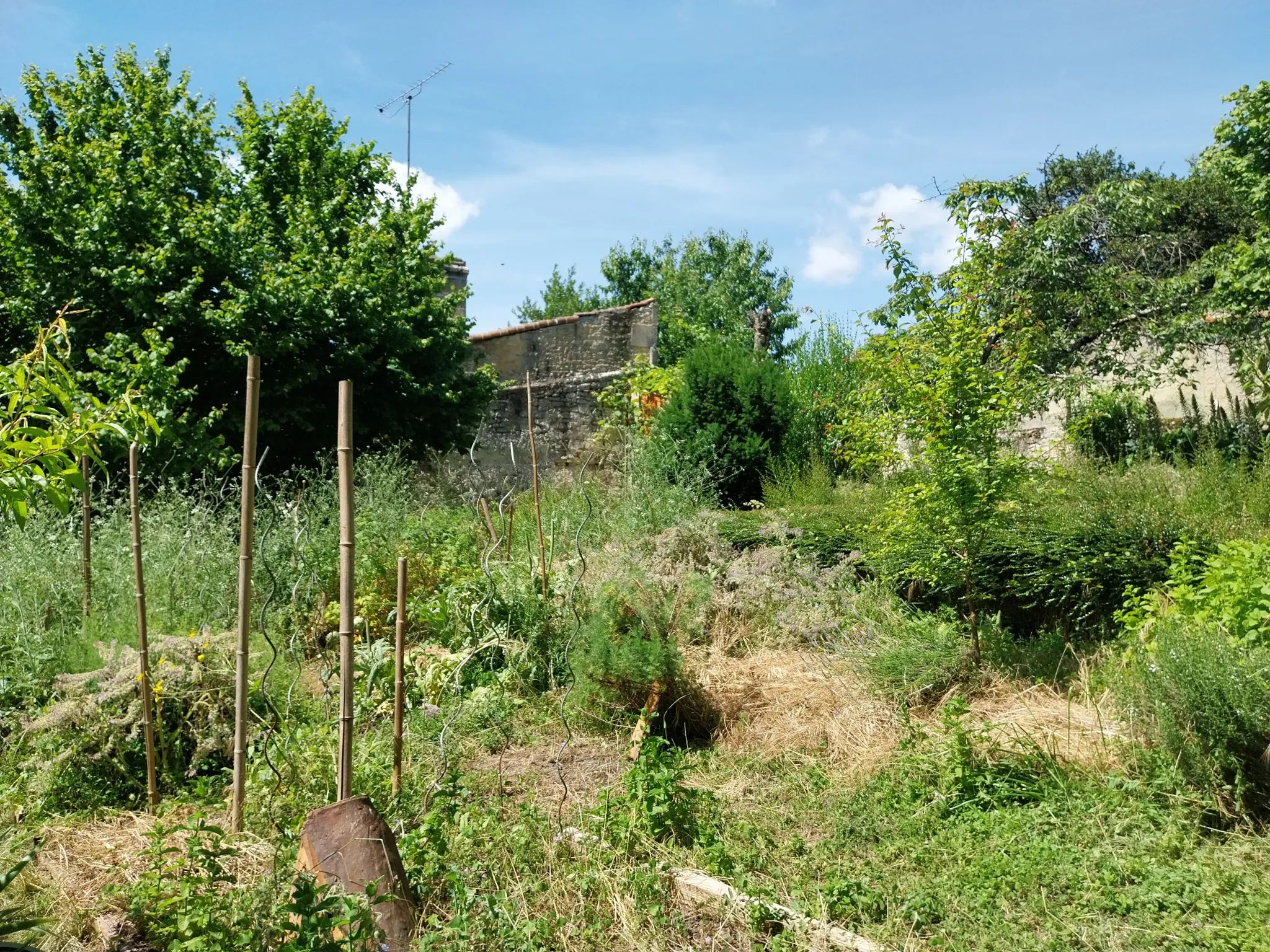 Charmante maison non mitoyenne à vendre à Cognac avec jardin suspendu 