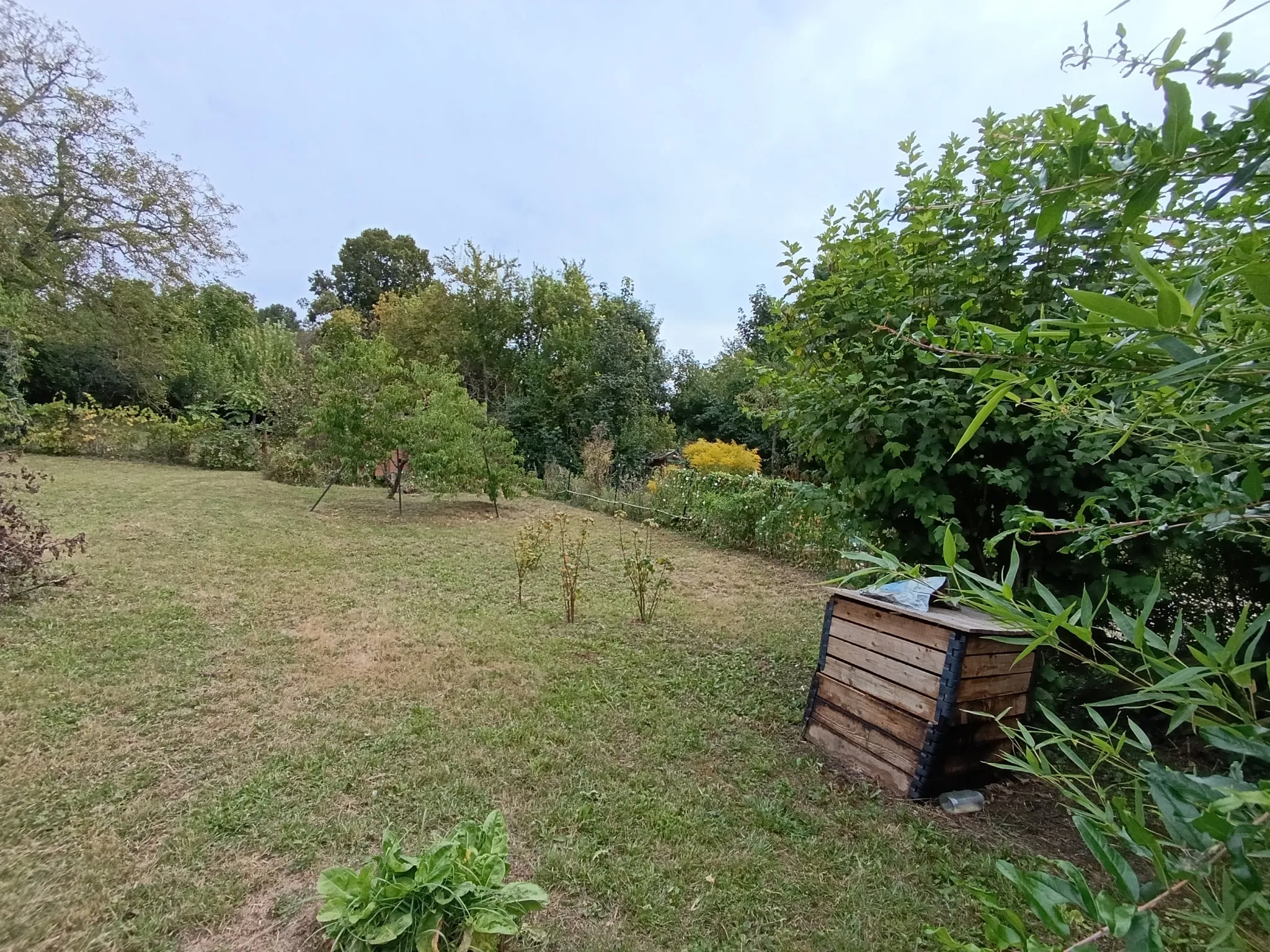 Maison à vendre à Vichy avec garage et jardin 