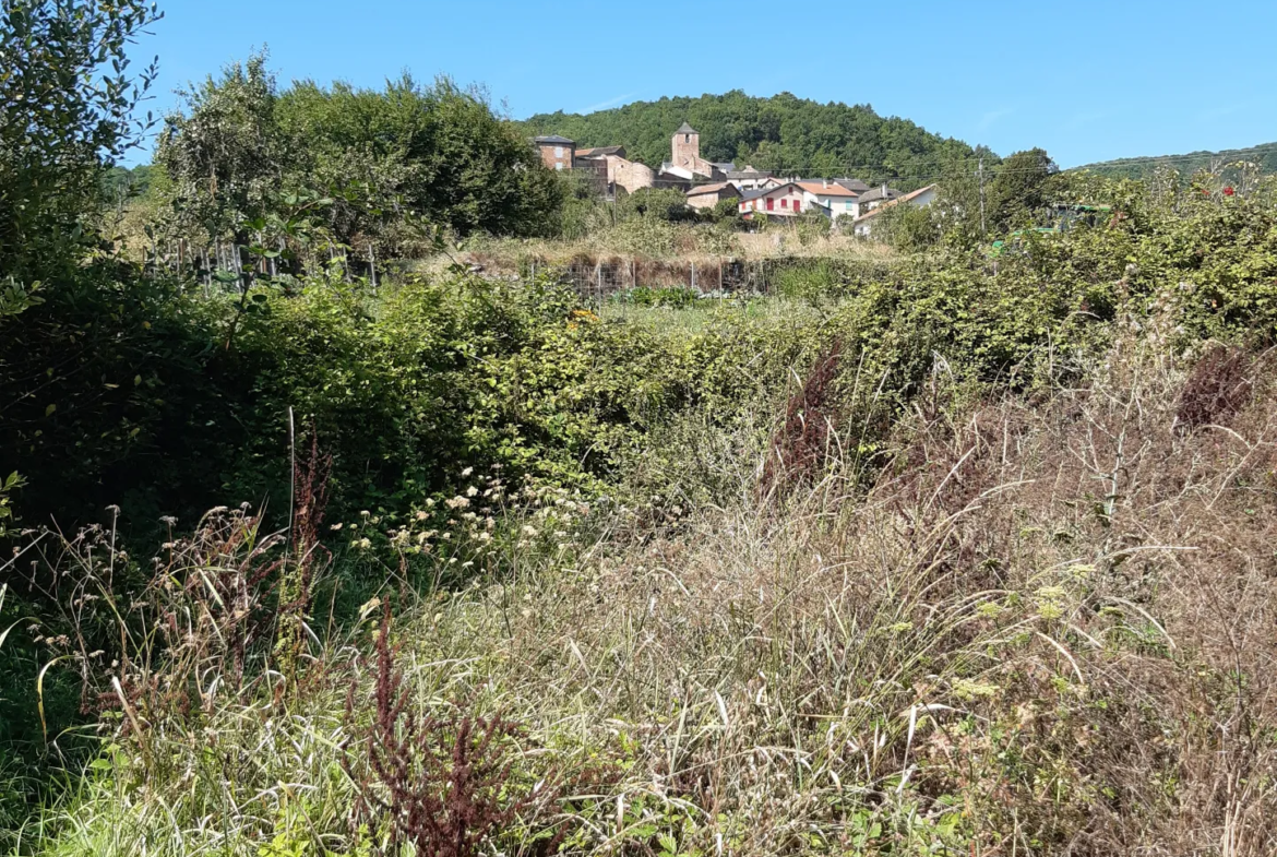 Maison de village à Montjaux avec jardin et studio indépendant 