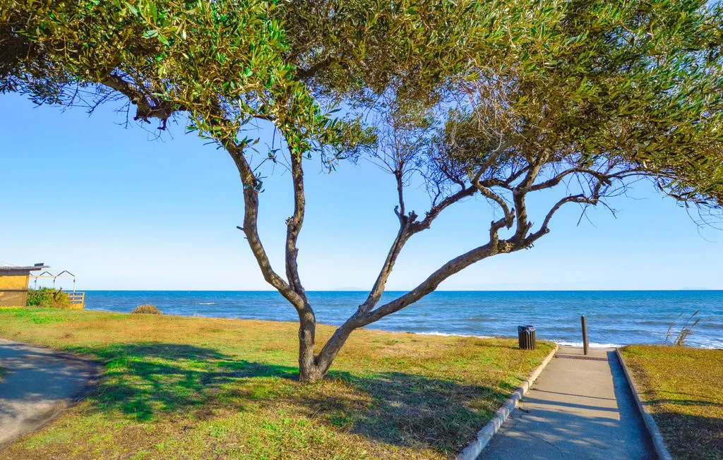 Charmant appartement T3 à Cervione - Prunete en bord de mer 