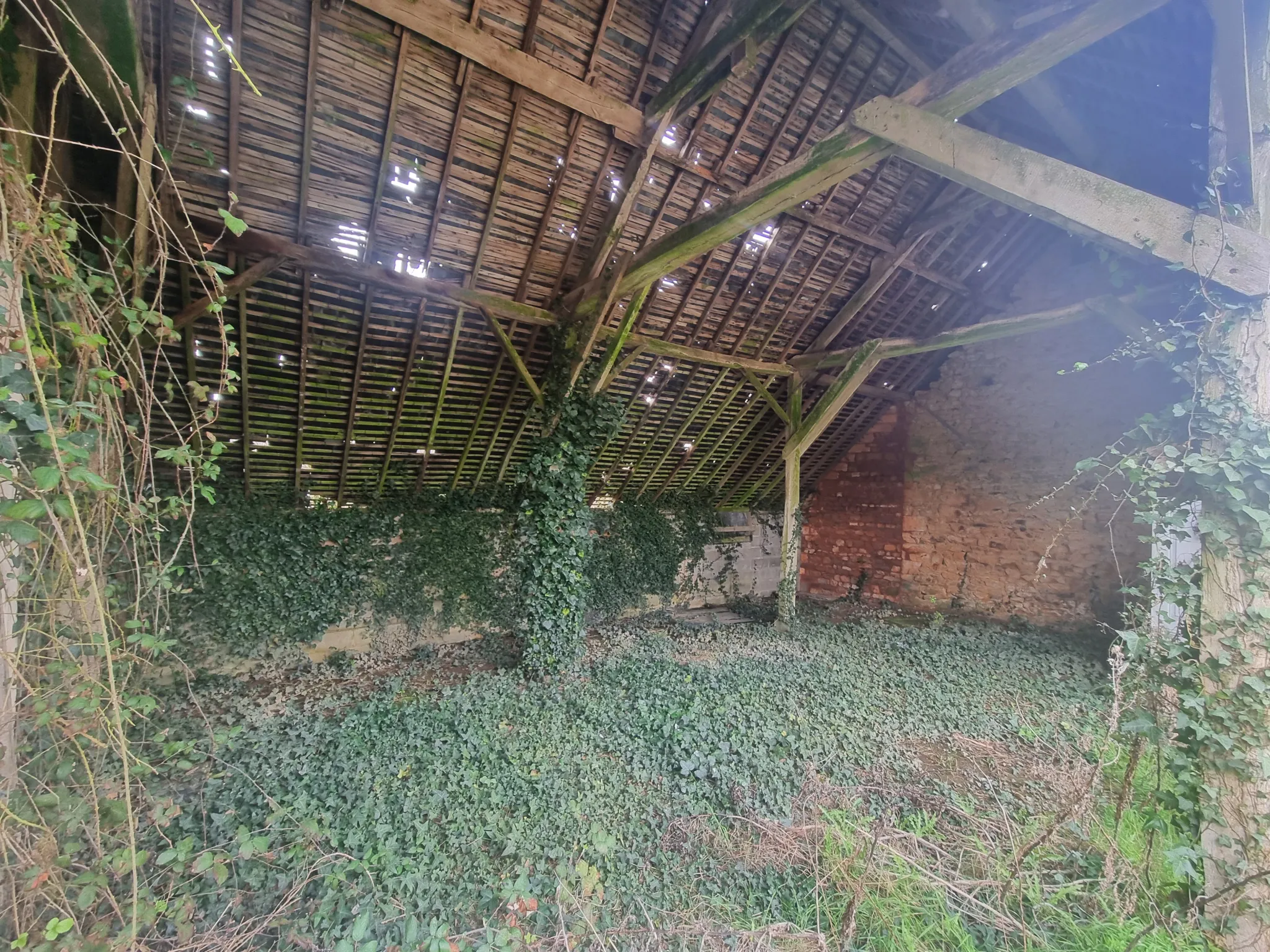 Maison en pierre à restaurer dans un cadre paisible 