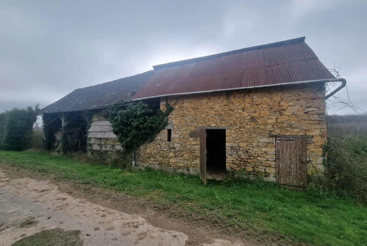 Maison en pierre à restaurer dans un cadre paisible 